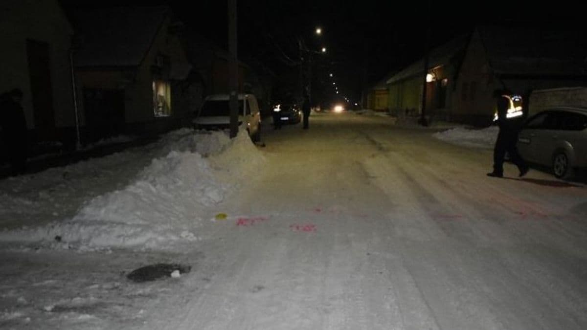 Kotta részegen a hóban: egy pillanat alatt történt a baj