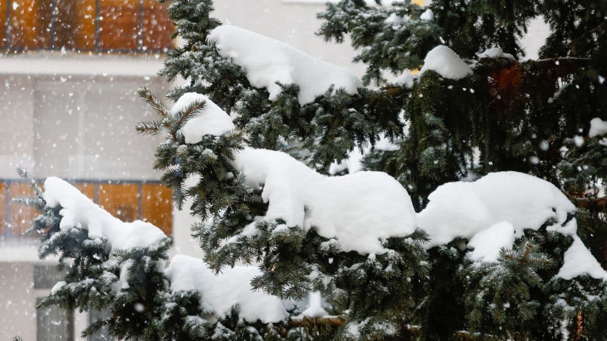 Különleges halmazállapotú csapadék érkezett a zalai városba (galéria, videó)