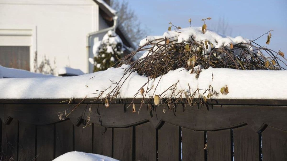 Nem semmi! Itt esett az országban a legtöbb hó