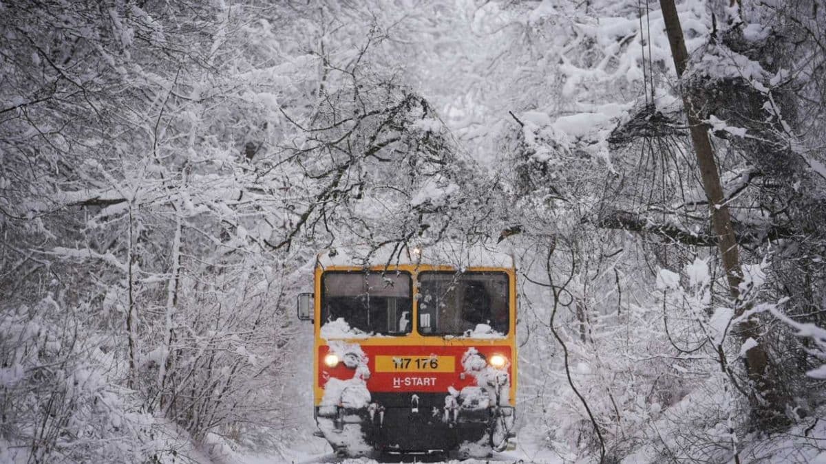 Nem állt le a vasút, de sok a késés – Bács-Kiskunban is érezhető a téli helyzet
