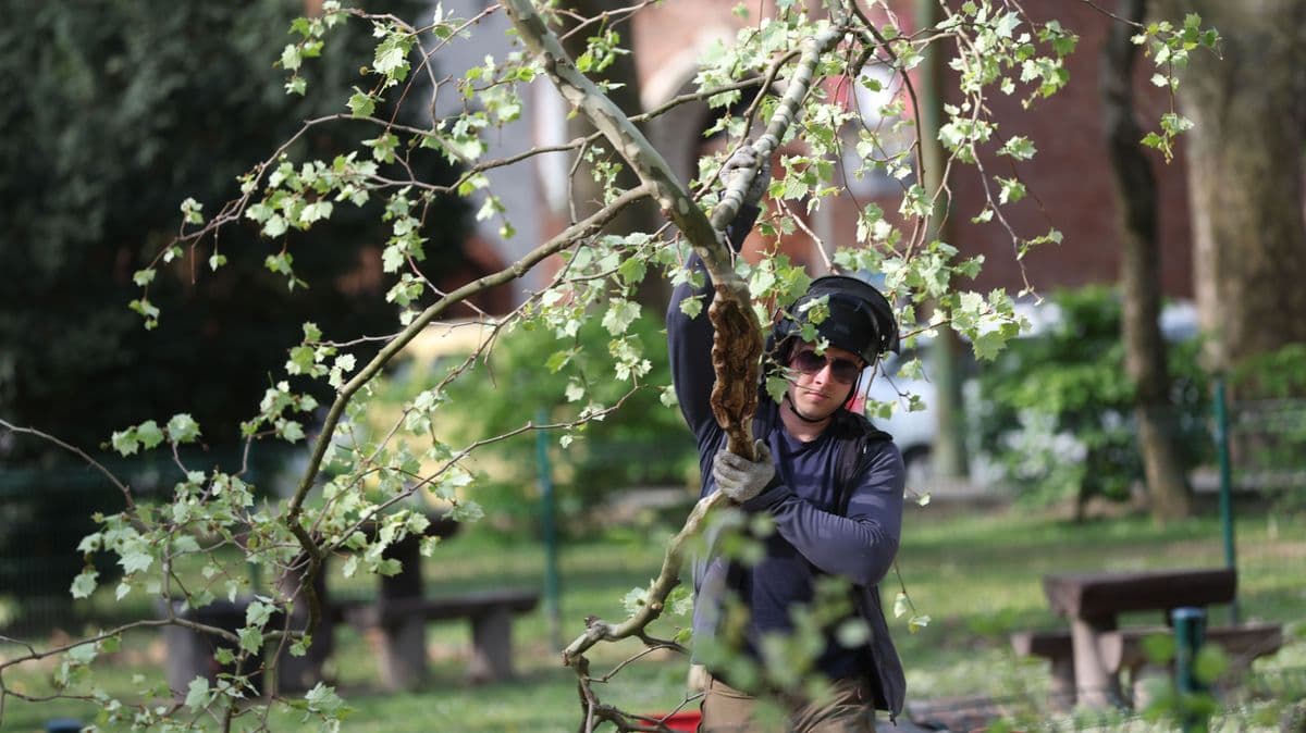 Meglepő fordulatot tartogat az időjárás: tavaszias meleg vagy jeges szél vár ránk?
