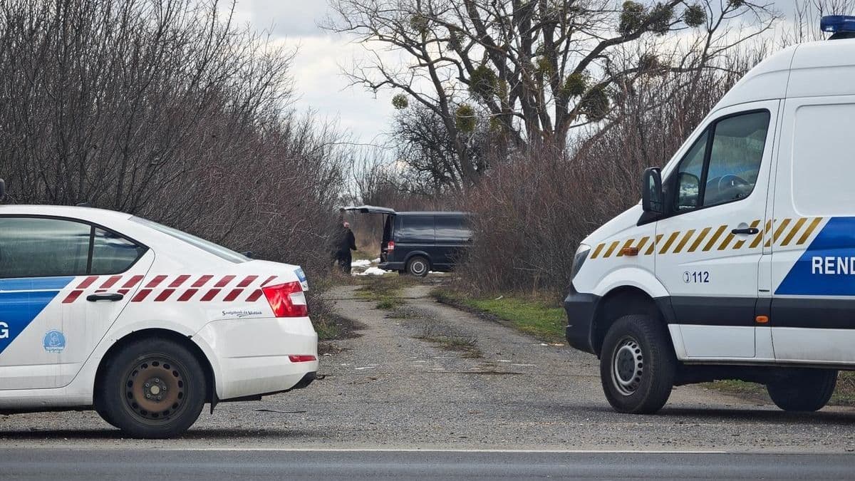 Holttestet találtak az erdőben: a volt polgármester az áldozat