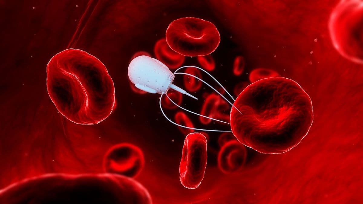 Kisebb, mint egy szem só – mégis önálló döntéseket hoz ez a robot