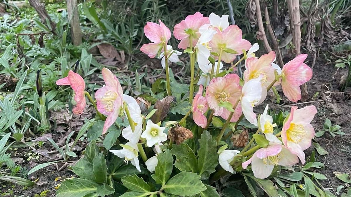 Vége a lustálkodásnak, elő a szerszámokkal!