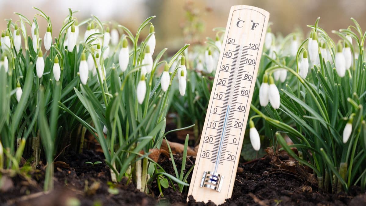 Mátyás-nap időjóslás: a népi megfigyelésnek vagy a meteorológiának higgyünk?