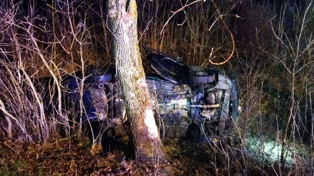 Sokkoló baleset egy őz miatt – három embert vittek kórházba a mentők!