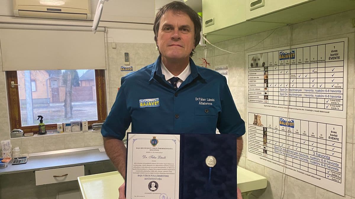 Sündisznókat röntgenez és lovakat is műt Baja kitüntetett állatorvosa