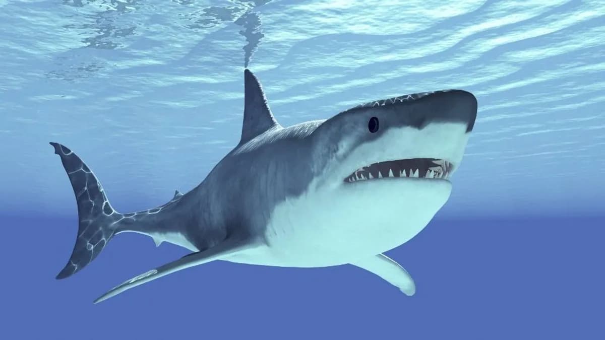 Még az óceánok félelmetes csúcsragadozójának is van ellensége