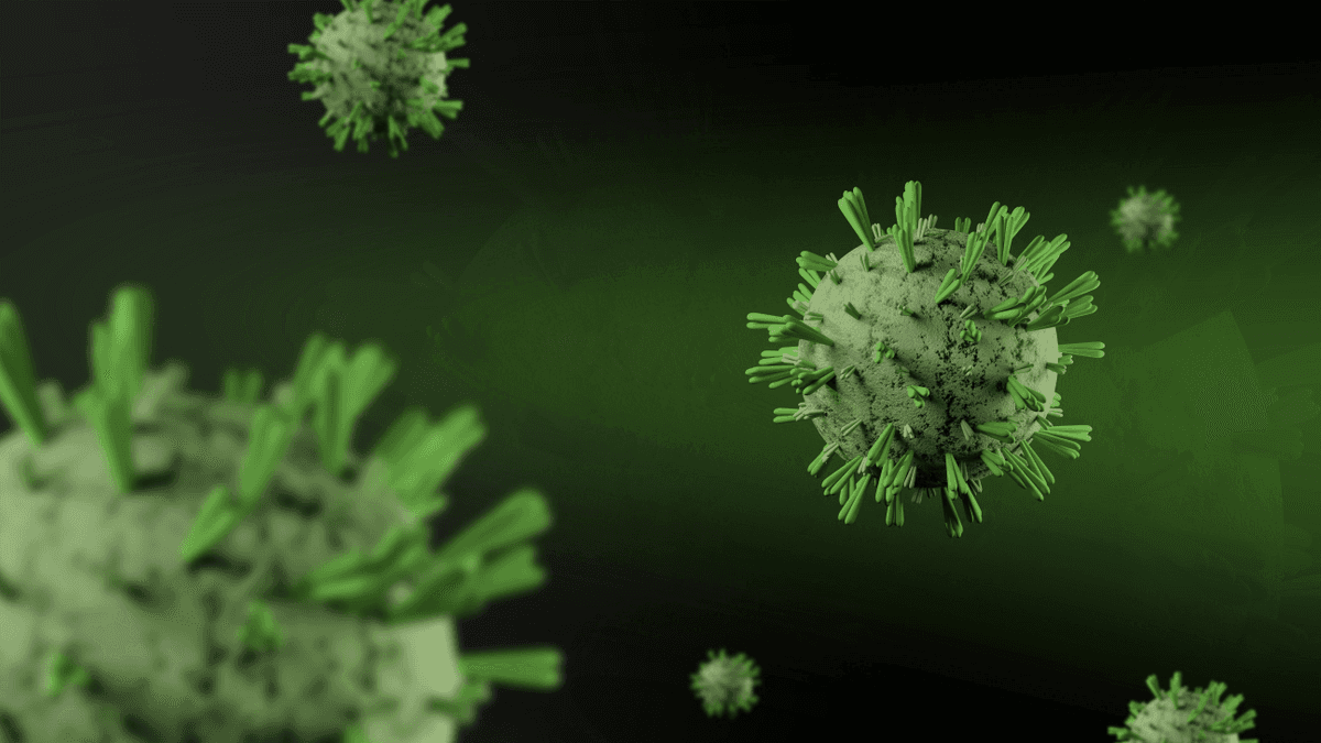 Halálos, fertőző kór tombol Budán - egyre több az áldozat