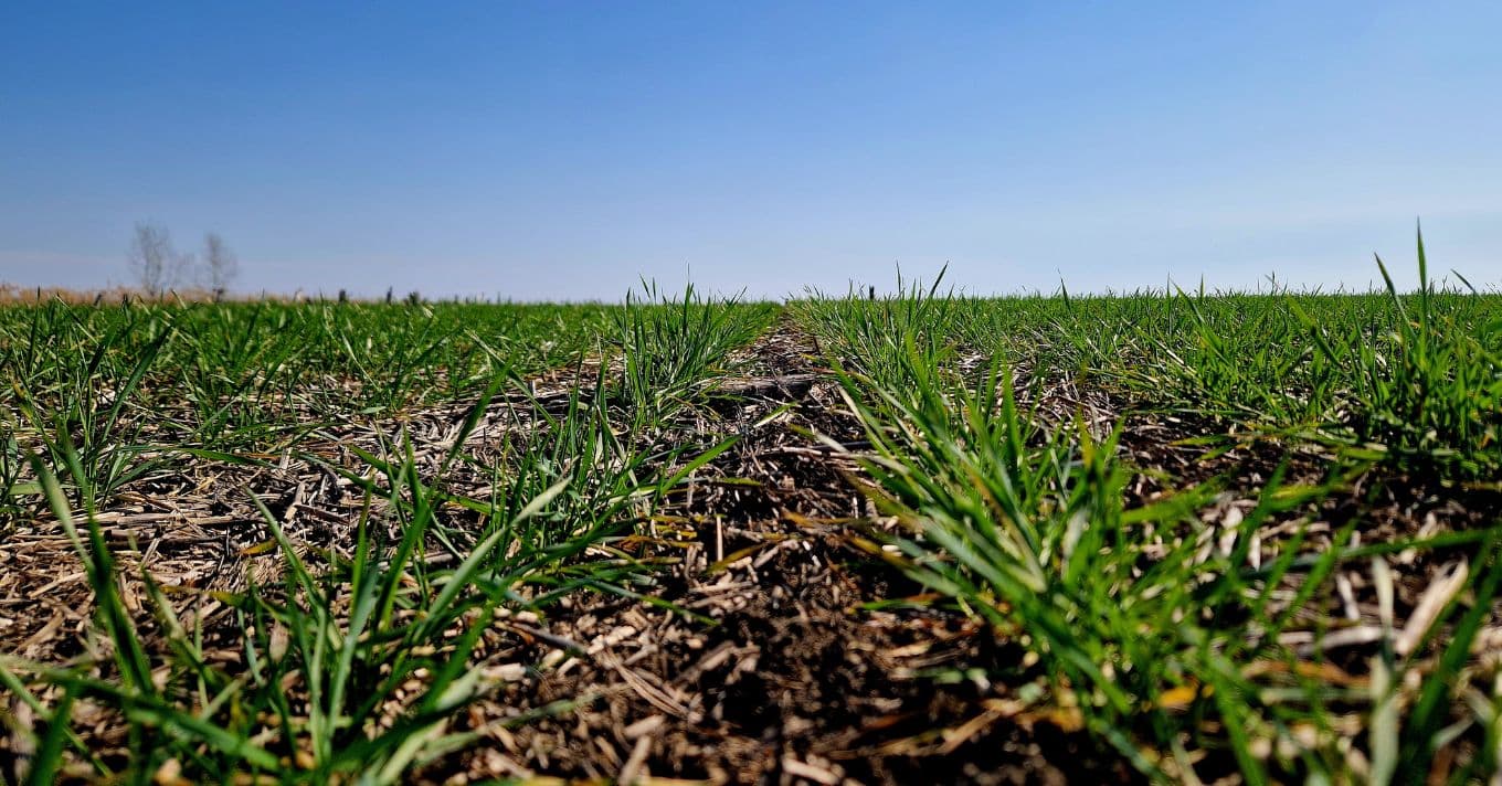 Hogyan őrizzük meg a talaj jó szerkezetét: 5 kulcslépés