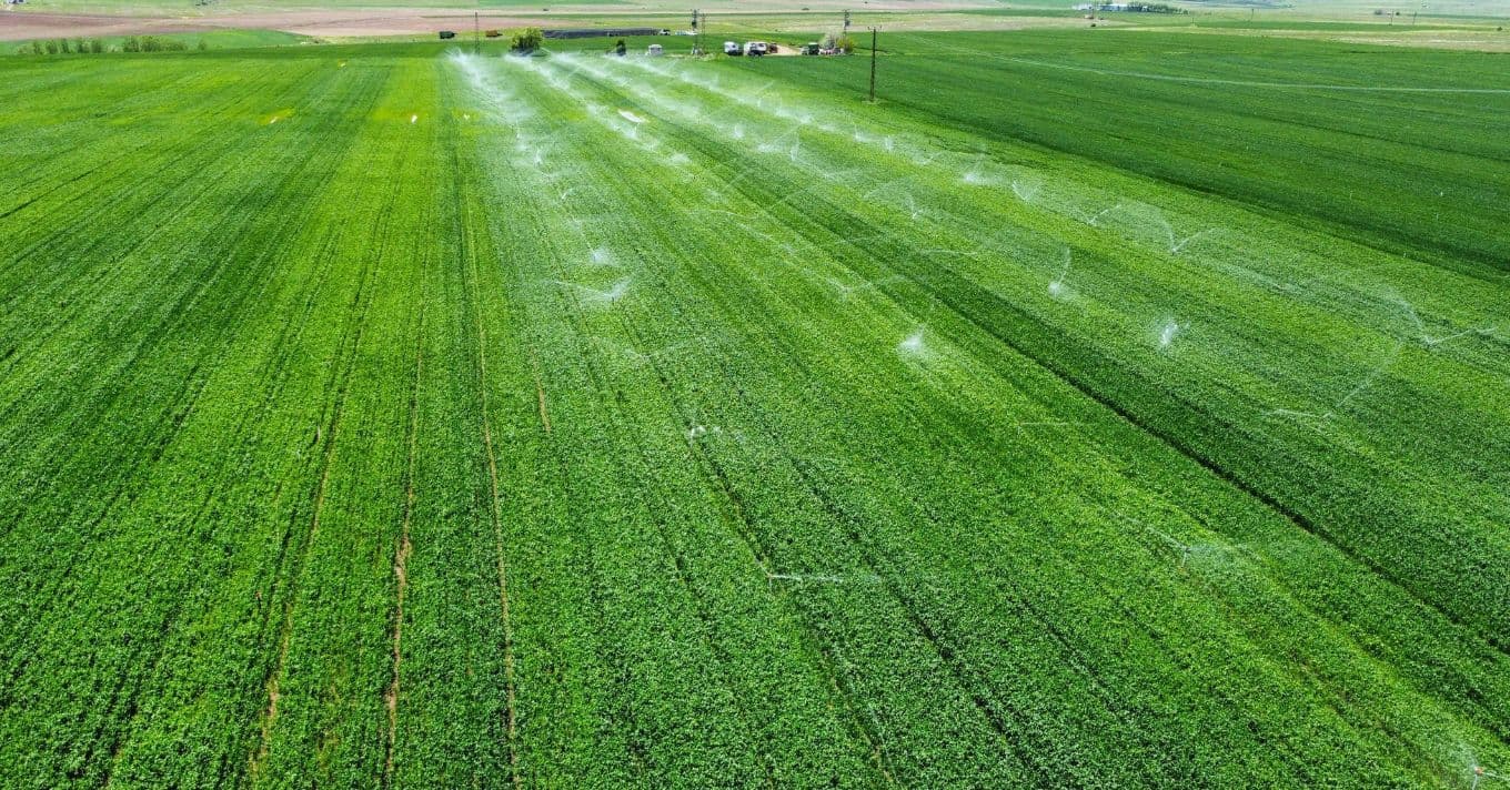 Vízpótló rendszer épül a Homokhátság megmentésére: 4 km-es szakasz indul