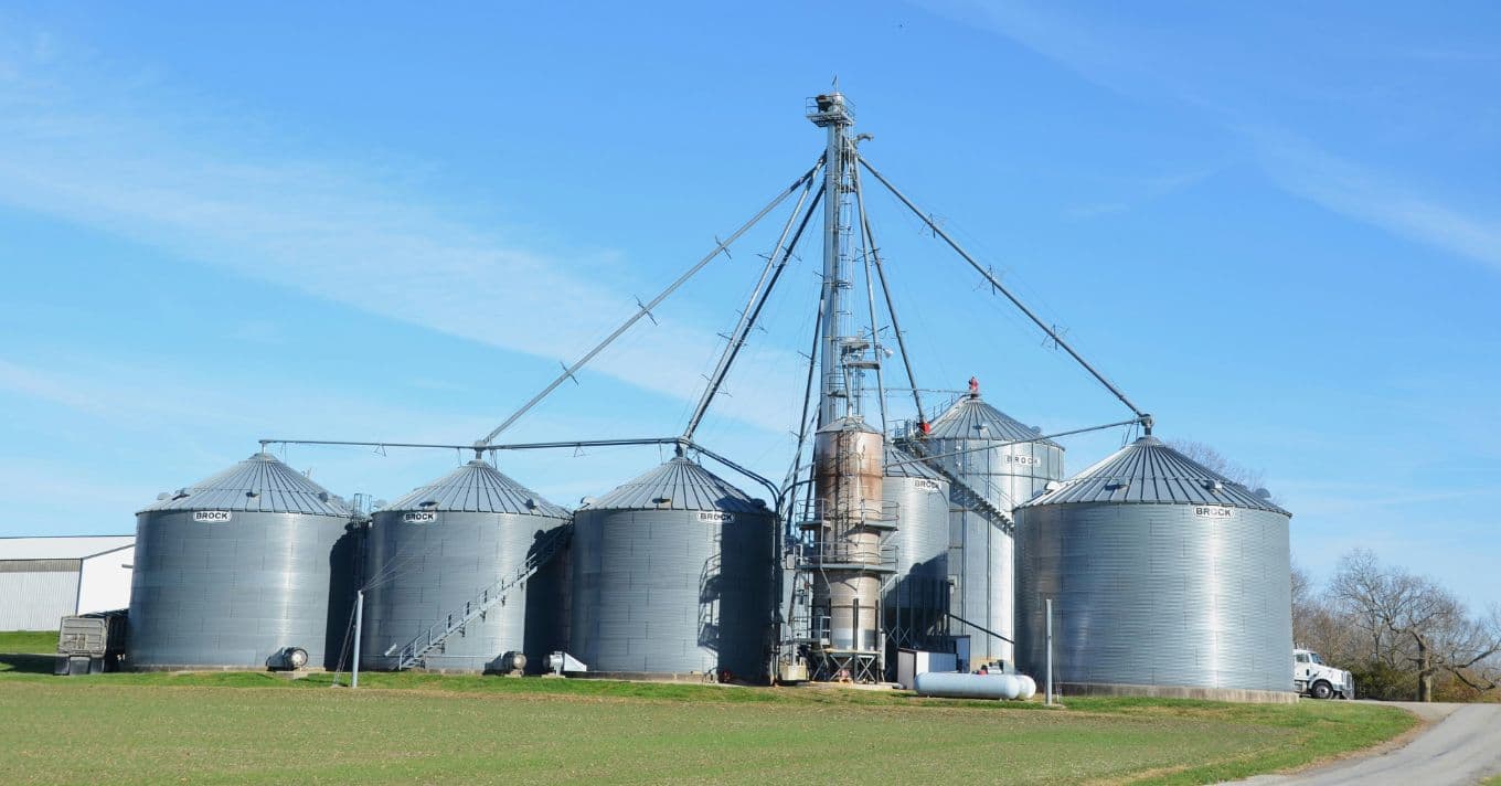 Új természetes módszer a gabonatárolásban: rozmaringolaj a kártevők ellen