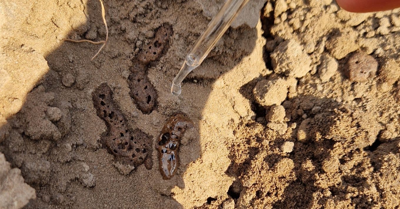 Talajvizsgálat és kémiai kezelések: gyakorlati útmutató gazdáknak