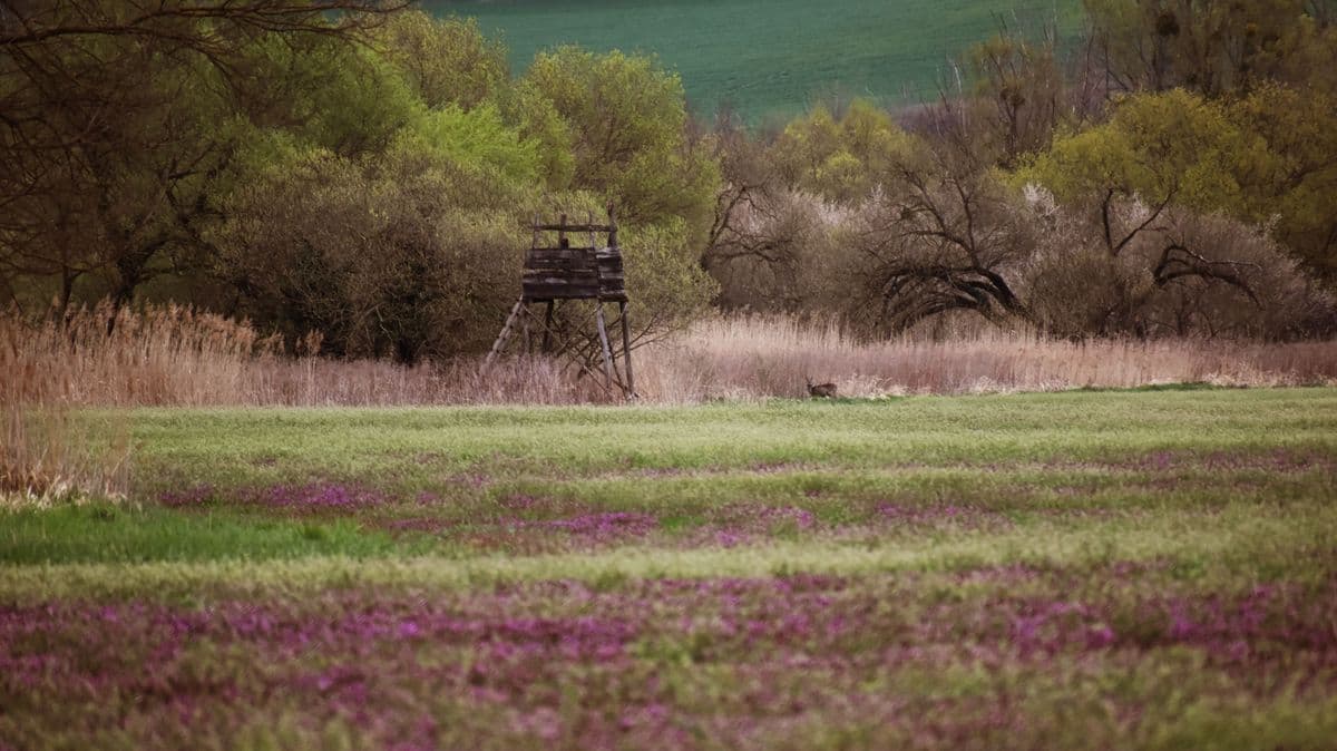 Ilyen időjárásra számíthatunk a választás előtti napon – mutatjuk, kell-e ma az esernyő!