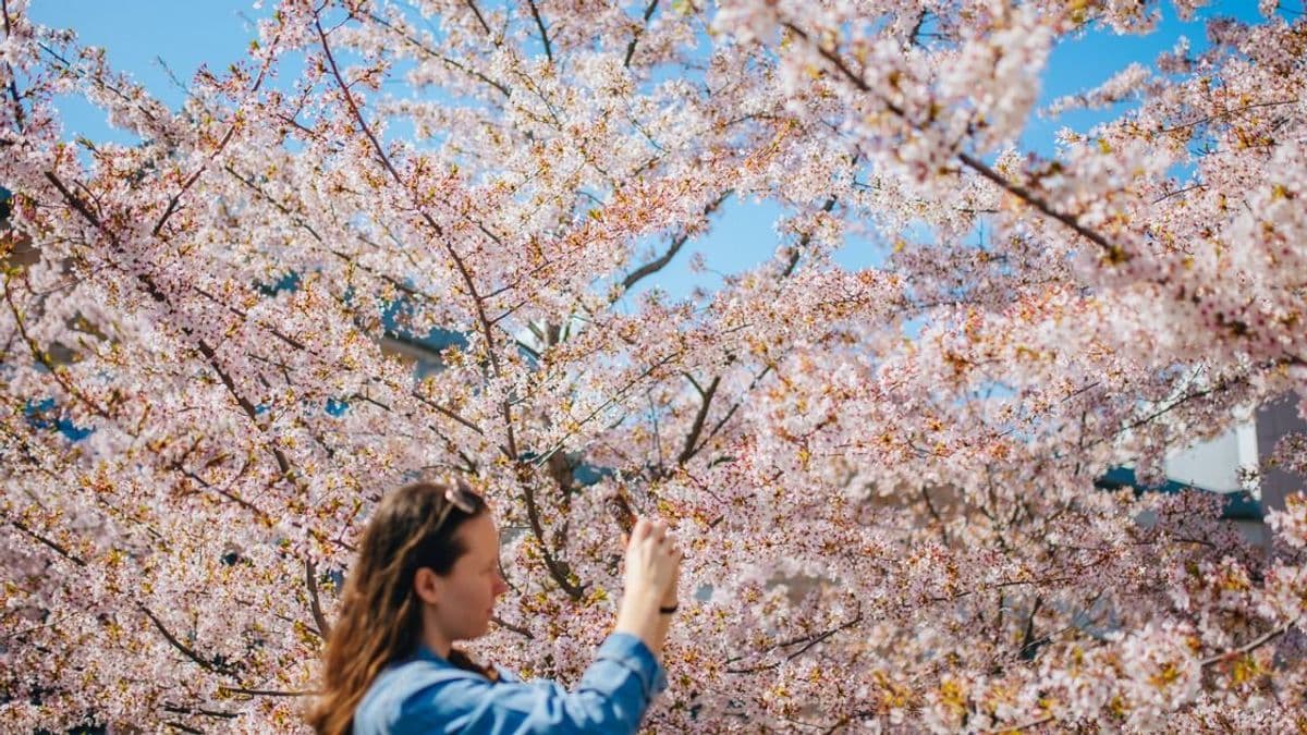 Elvonulnak a felhők, a közérzetünk is jobb lesz