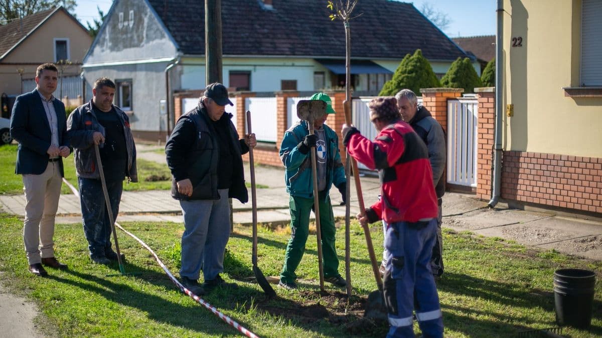 Harminc sorfát ültettek el a településen