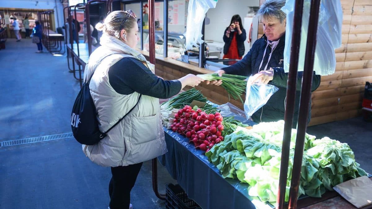 Hogy mennyi? Ennyit kérnek a friss zöldségekért a hevesi piacokon és boltokban
