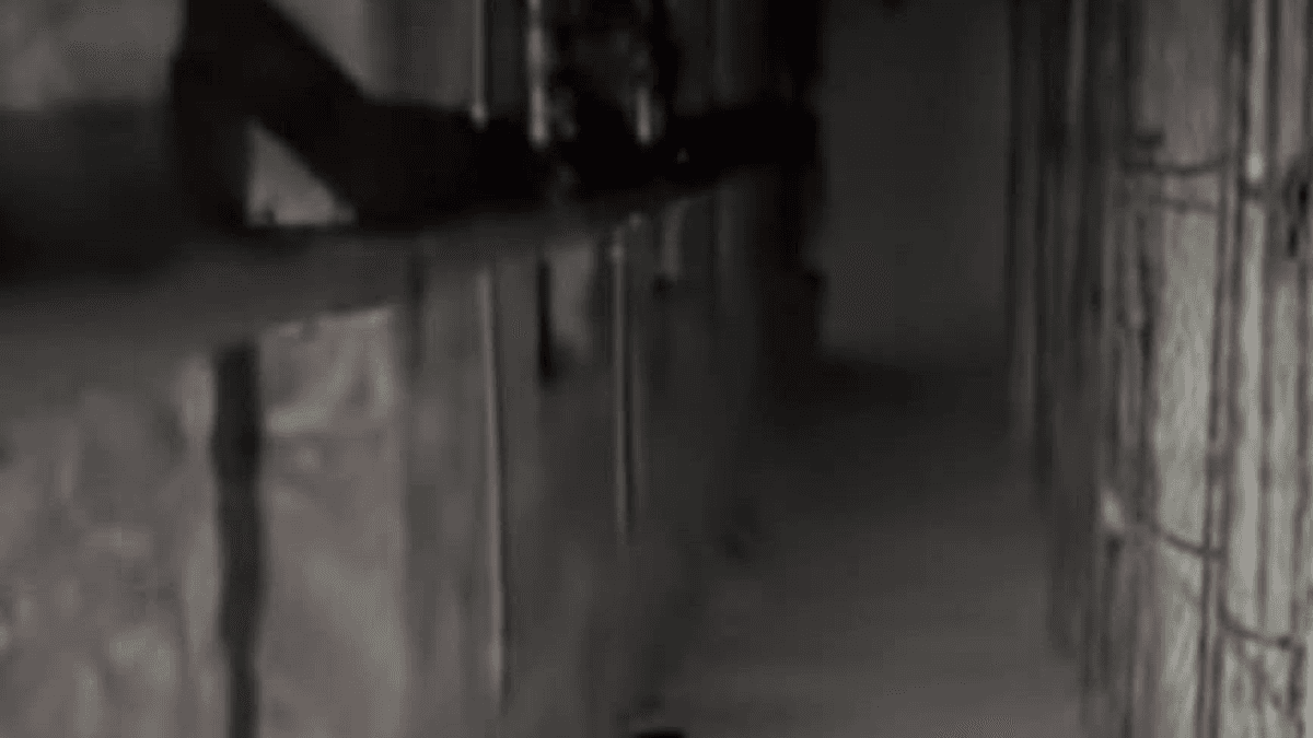 A Jászai Mari téri Meki alatt titkos alagutat fedeztek fel – hátborzongató videók!
