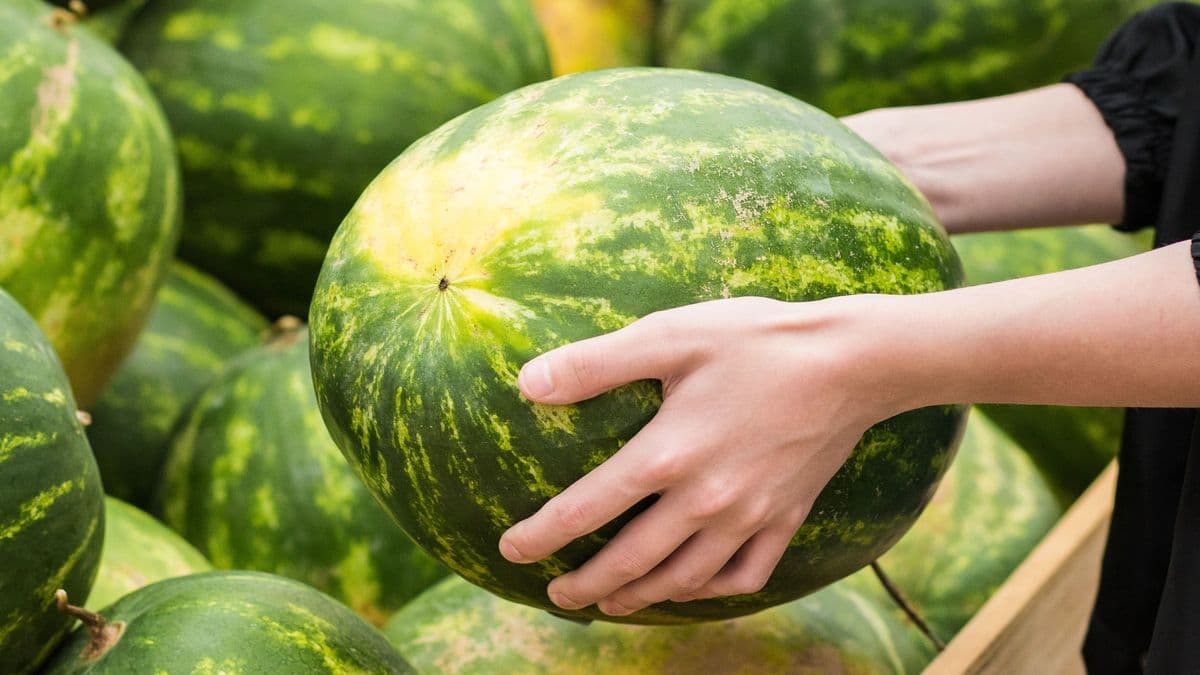 Tényleg leolvadnak a kilók a dinnyediétától?
