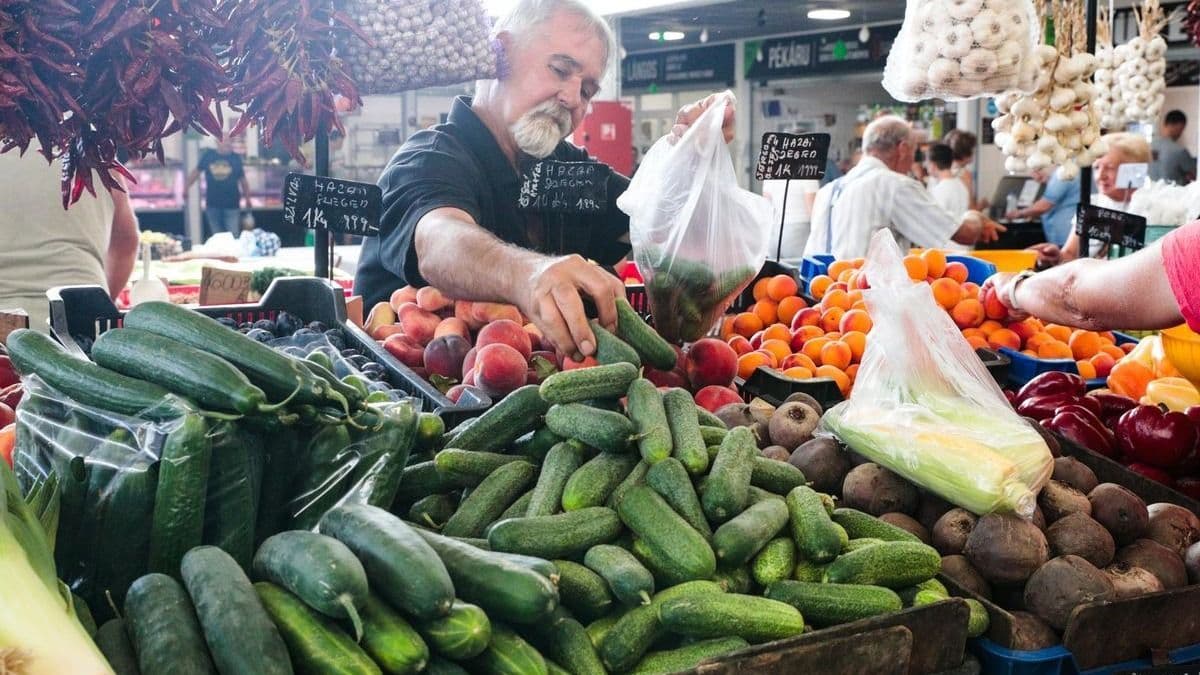Nincs csapadék - keserű az uborka? Ezzel az egyszerű trükkel megmentheted