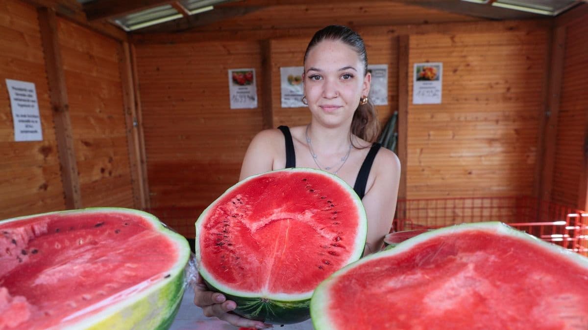 Rengeteg dinnye fogy Vasban - árusoknál érdeklődtünk és jártunk utána a nagy titoknak - fotók