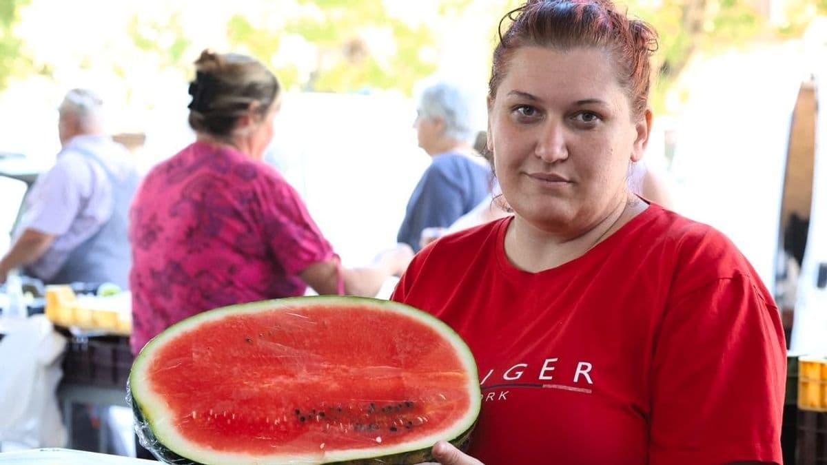 Ingyen dinnyével várják az érdeklődőket