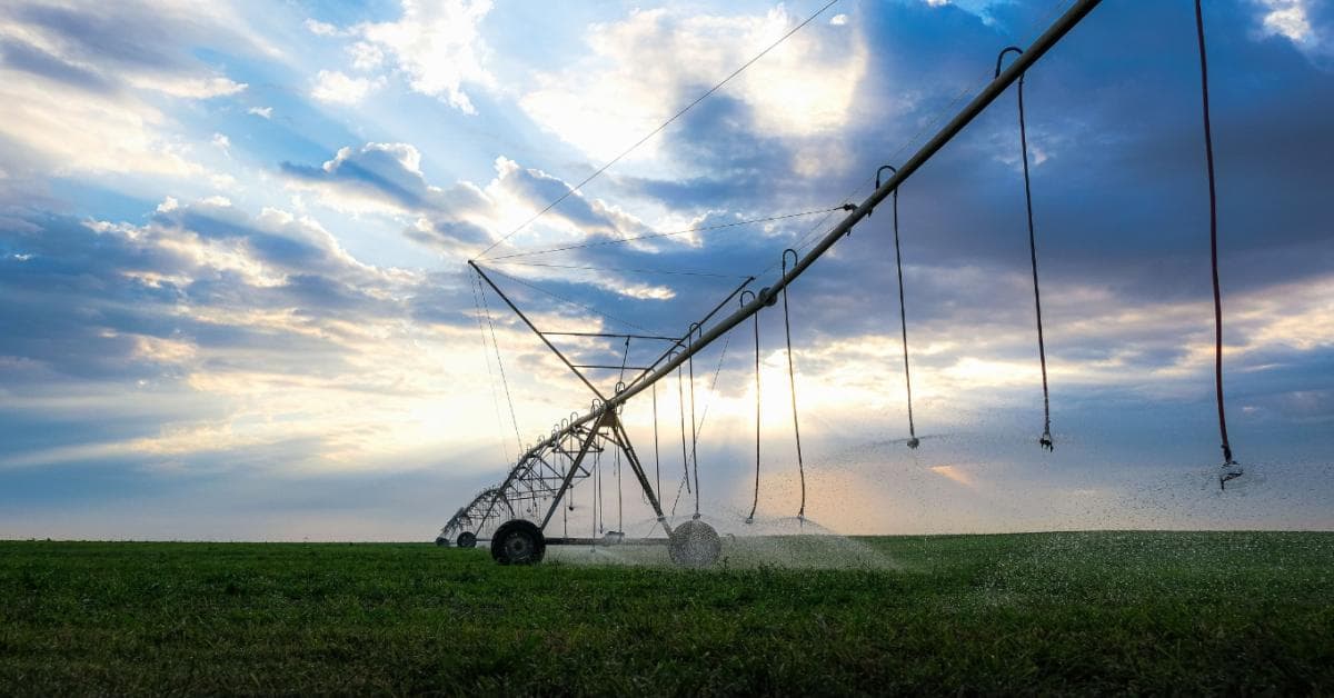 Hungary’s Urgent Need for Water Management Solutions
