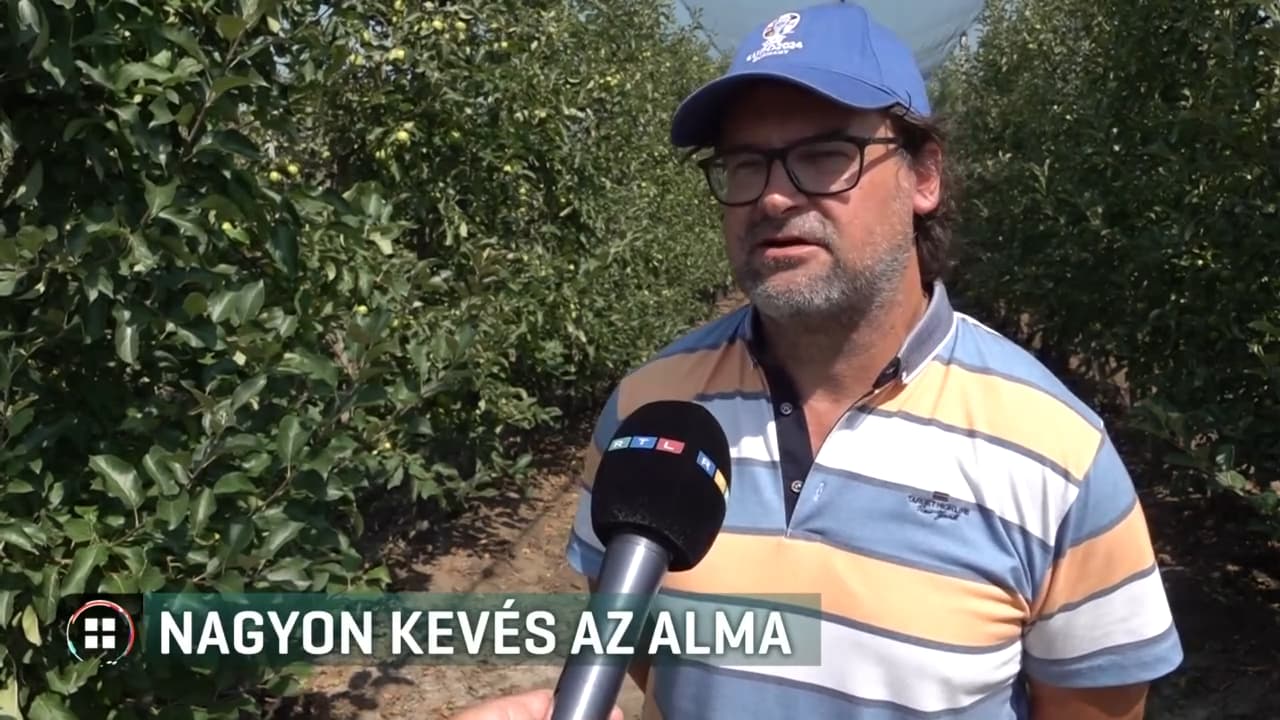 Kevés az alma, és tavasszal még drágulhat is