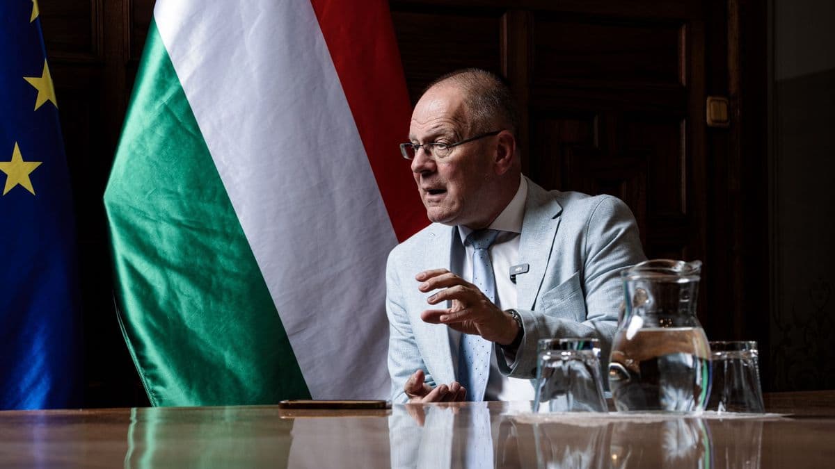 Kormányzati inkompetencia, sokadik rész