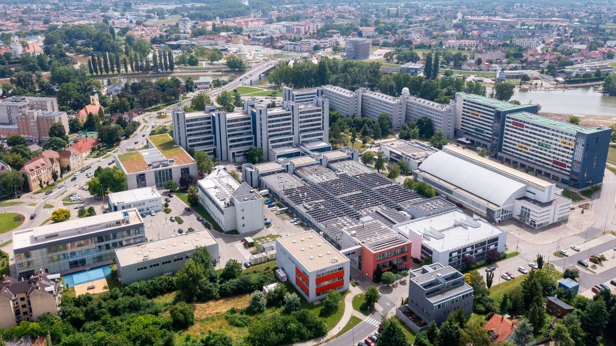 Ígéretes kutatási projektek nyertek támogatást a Széchenyi István Egyetemen