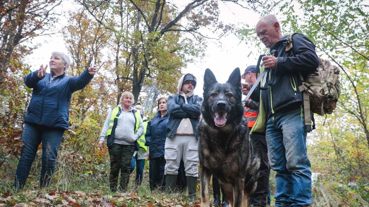 Sokkoló, milyen sok tinédzser tűnik el otthonról – ezért lépnek le a térképről a gyerekek