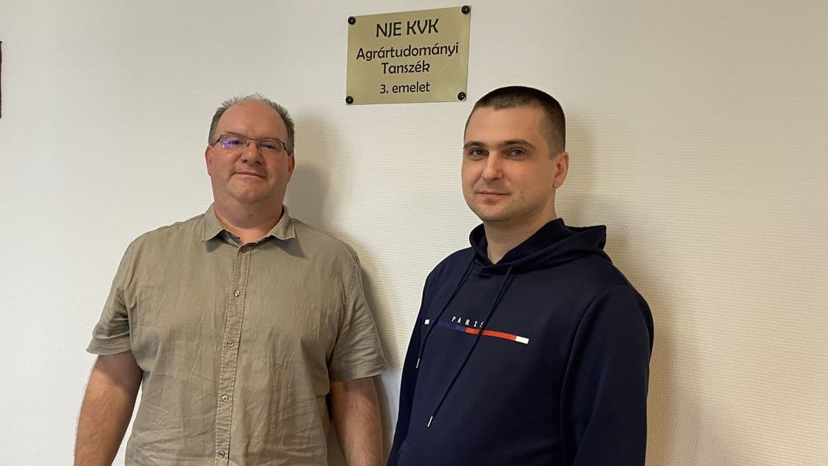 A szőlő aranyszínű sárgaság betegségét kutatják a Neumann János Egyetem laboratóriumában