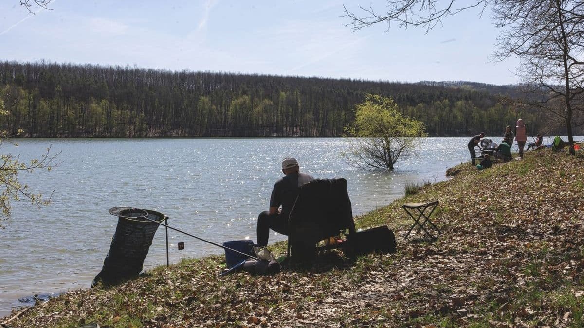 A pecások megszólaltak: itt érdemes bedobni a horgot Békésben