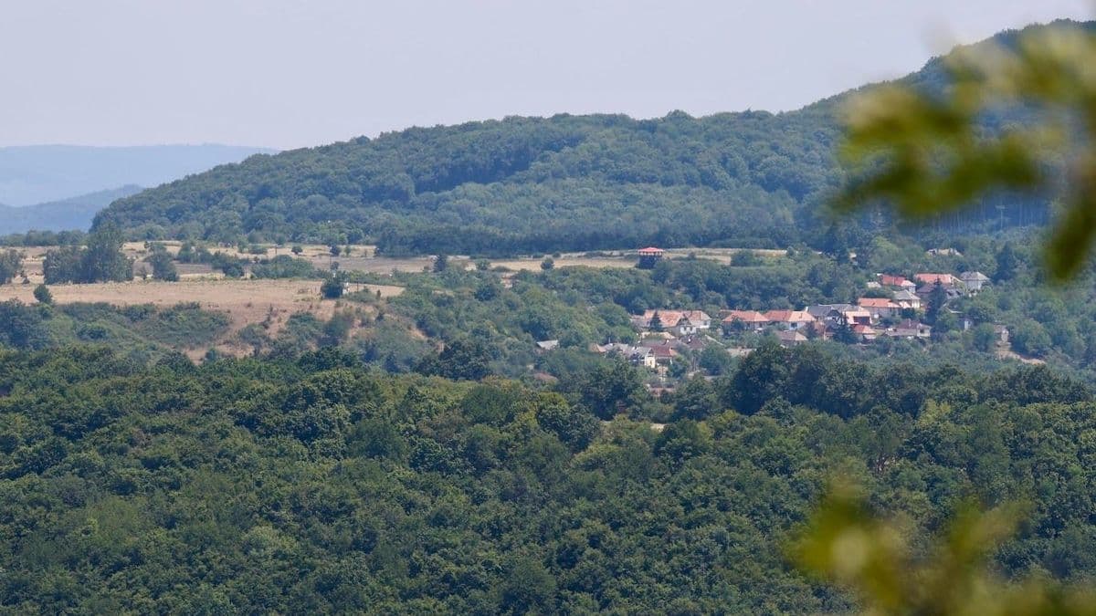 Támadnak a gyilkos vérszívók Nógrádban: egyetlen mozdulaton múlhat, hogy elkapod-e a súlyos betegséget