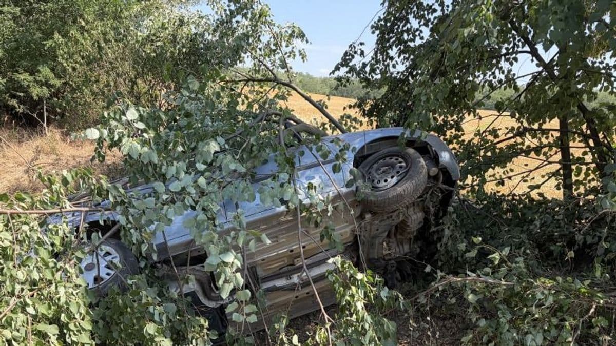 Letért az útról és fának csapódott egy autó Vashosszúfalu közelében - fotó