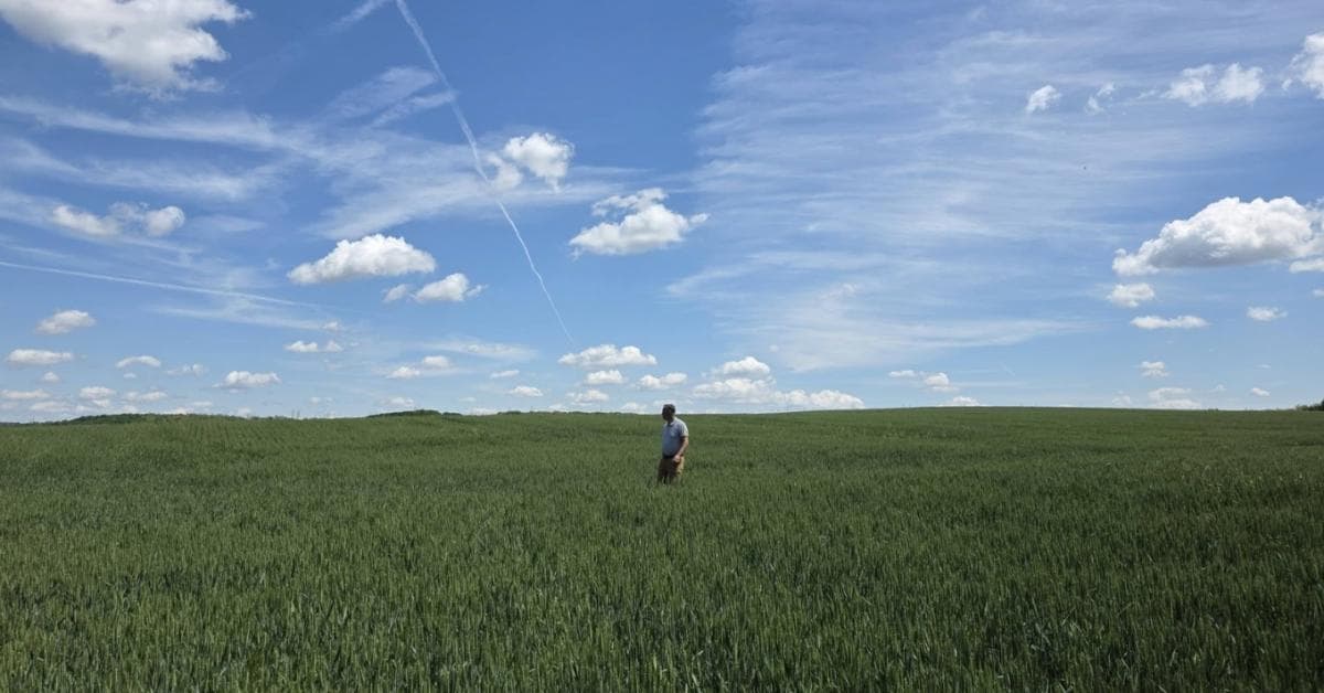 Regeneratív gazdálkodás: Fenntartható jövő a magyar mezőgazdaságban