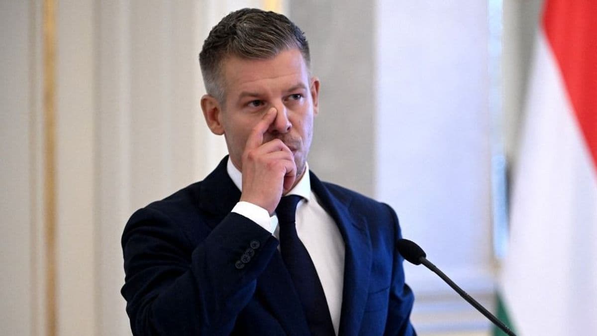 Rajzfilmekben vannak olyan diktátor-karakterek, akik most irányítanak