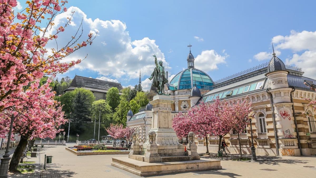 Csak a legjobb megfigyelők érnek el hibátlan eredményt ebben a kvízben