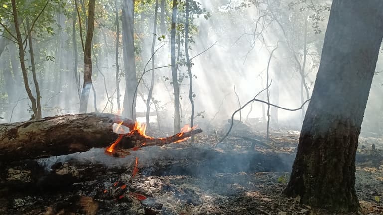 Tűz ütött ki a Börzsönyben, megközelíthetetlen helyen csaptak fel a lángok