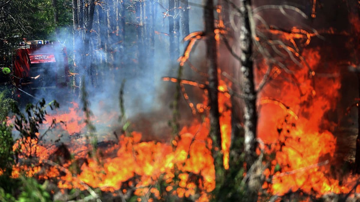 Súlyos terhelést jelent a katasztrófavédelemnek az idei tűzszezon